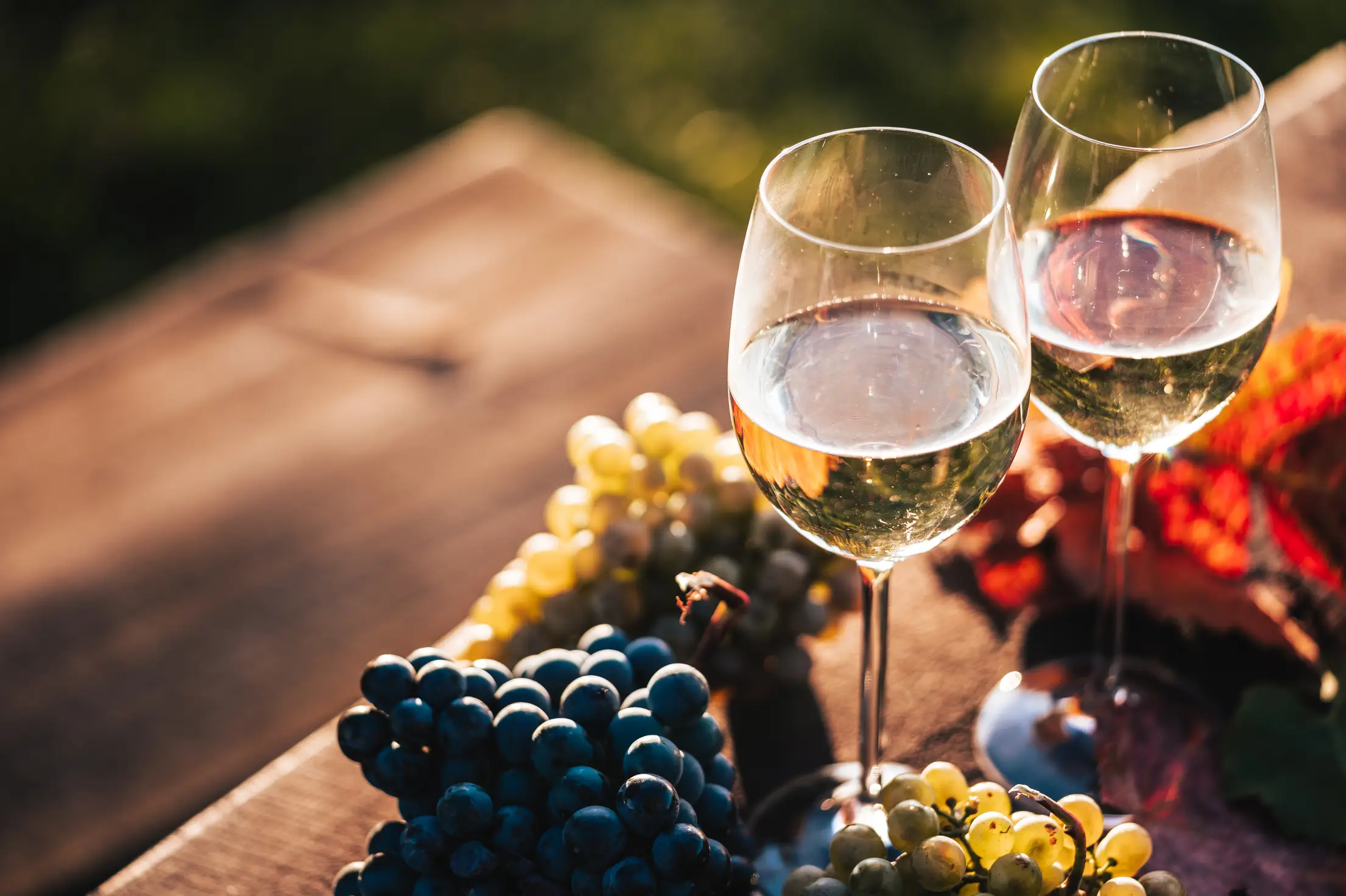 Wine tour - Alpeta and Pupa wineries image
